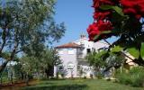Ferienwohnung Kroatien: Ferienwohnung B (A2+2) - Haus 1426 - Fazana Istrien 