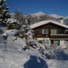 Ferienwohnung Wallis Klimaanlage: Ferienwohnung Chalet Marie-Louise 