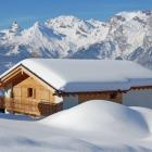 Ferienhaus Nendaz Fernseher: Ferienhaus Axaari 