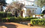 Ferienhaus Italien: Ferienhaus Villa Paola 