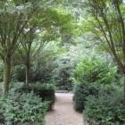 Ferienhaus Lochem Sauna: Ferienhaus Buitencentrum Ruighenrode 