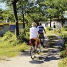 Ferienhaus Ouddorp: Ferienhaus Rcn Toppershoedje 