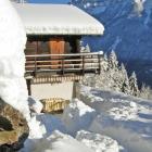 Ferienhaus Salvan Wallis Klimaanlage: Ferienhaus La Bonne Planque 