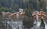 Ferienwohnung Leukerbad Kamin: Ferienwohnung Les Naturelles 