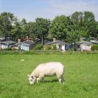 Ferienhausnoord Holland: Ferienhaus Vakantiedorp Het Grootslag 