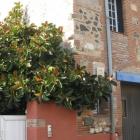 Ferienhaus Languedoc Roussillon Klimaanlage: Ferienhaus Maison De L'agly 
