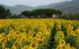 Bauernhof Italien: Ferienwohnung - Castiglione Della Pescaia 