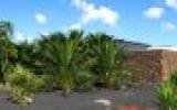 Ferienhaus Fuerteventura: Chalet - 8 Räume - 10/14 Personenhaus Mit Garten 