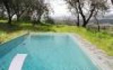 Ferienhaus Italien: Ferienhaus / Villa - Pontedera 