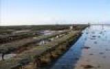 Ferienhaus Pays De La Loire: Ferienhaus / Villa - Ile De Noirmoutier 