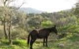 Landhaus Spanien Fön: Studio - La Alpujarra Atalbeitar 