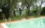 Ferienhaus Toscana Internet: Villa Mit Olivenbäume Im Garten, Nah Am Medici ...