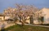 Landhaus Bonnieux Kaffeemaschine: Anwesen / Landgut - Bonnieux 