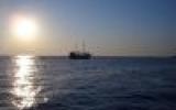 Ferienwohnung Kroatien: Fewo Mit Meeresrauschen - Direkt Am Meer 