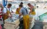 Ferienhaus Poitou Charentes Waschmaschine: Familien-Und ...