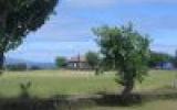Landhaus Portugal: Typisches Landhaus - Ribeirinha 