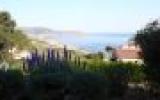 Ferienwohnung Calvi Corse Geschirrspüler: Ferienwohnung - Calvi 