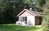 Ferienhaus Eibergen Terrasse: 't Eibernest 