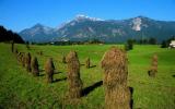 Ferienhaus Tirol Kinderbett: Pircher Zuhaus 