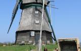 Ferienhaus Schleswig Holstein Terrasse: Farver Mühle 