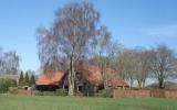 Ferienhaus Voorst Gelderland Terrasse: 't Achterhuus 