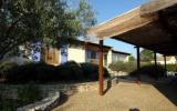 Ferienhaus Languedoc Roussillon Mikrowelle: Le Palmier 