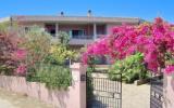 Ferienwohnung Posada Sardegna: Magnolia Trilo 