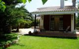 Ferienhaus Montferri: L'eucaliptus 