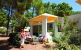 Ferienhaus Borgo Corse Gartenmöbel: Club Pineto 