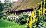 Ferienhaus Niederlande: Zwienhemmen 