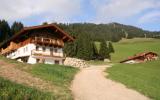 Ferienwohnung Hopfgarten Tirol Grill: Chalet Innersalvenberg 