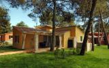 Ferienhaus Umag Klimaanlage: Resort Istrian Villas 