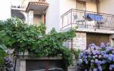 Ferienwohnung Porec Terrasse: 297 