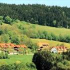 Pension Deutschland Gefrierfach: Pension Sankt Englmar , Bayerischer Wald , ...
