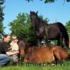 Ferienwohnung Welze: Ferienwohnung Welze , Hannover Region , Niedersachsen , ...