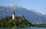 Ferienwohnung Slowenien Skiurlaub: Ferienwohnung Bohinjska Bela , Bled , ...