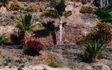 Ferienwohnung Pájara Garten: Ferienwohnung Pájara , Fuerteventura , ...