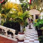 Hotel Banjul Banjul Garten: Hotel Banjul , Banjul , Gambia - ...