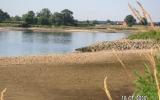 Ferienhaus Deutschland: Ferienhaus Drage , Land Zwischen Elbe U. Weser , ...