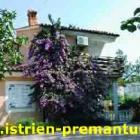 Ferienhaus Premantura: Unterkunft Premantura , Istrien , Kroatien - ...