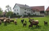 Ferienwohnung Deutschland Terrasse: Ferienwohnung Langenloh , ...