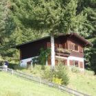 Ferienhaus Pillberg Garten: Ferienhaus Pillberg , Tiroler Unterland , Tirol ...