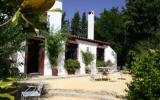 Ferienhaus Spanien: Ferienhaus Bornos , Costa De La Luz - Cádiz , Andalusien , ...