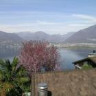 Ferienhaus Tessin: Ferienhaus Gerra (Gambarogno) , Lago Maggiore , Tessin , ...