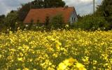 Ferienwohnung Deutschland Terrasse: Ferienwohnung Osterwohle , Altmark , ...