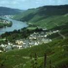 Ferienhaus Deutschland: Ferienhaus Graach , Mosel - Saar , Rheinland-Pfalz , ...