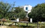 Ferienhauskikladhes: Ferienhaus Naxos , Kykladen , Griechenland - Haus ...