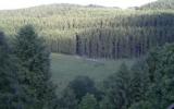 Ferienwohnung Deutschland Terrasse: Ferienwohnung Kopp , Eifel - Ahr , ...