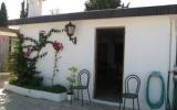 Ferienhaus Spanien: Ferienhaus San Rafael Del Rio , Castellón / Castelló , ...