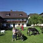 Ferienwohnung Hohenthurn: Ferienwohnung Hohenthurn , Oberkärnten , ...